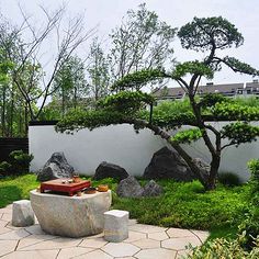 庭院設(shè)計 打造夢想庭院的關(guān)鍵要素與實(shí)用指南