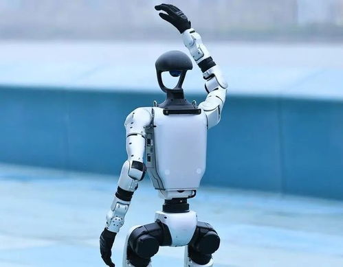 人形機(jī)器人產(chǎn)業(yè)迎來爆發(fā)期，宇樹科技啟動(dòng)IPO引領(lǐng)行業(yè)新浪潮